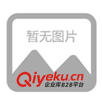 直銷廣東省發(fā)電機(jī)，直銷廣東省發(fā)電機(jī)組，康明斯發(fā)電機(jī)